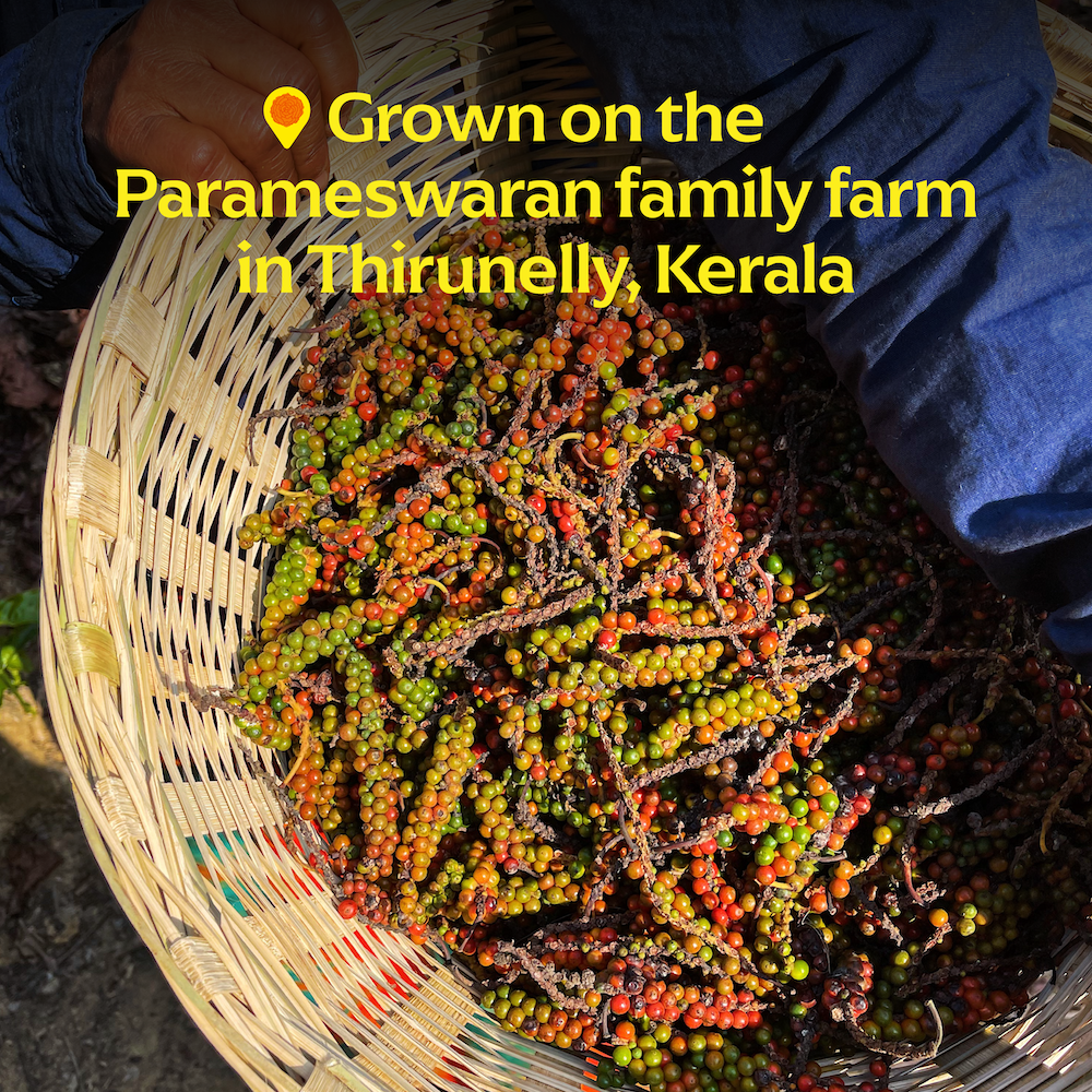 Aranya Black Pepper (New Weight, Cookbook)
