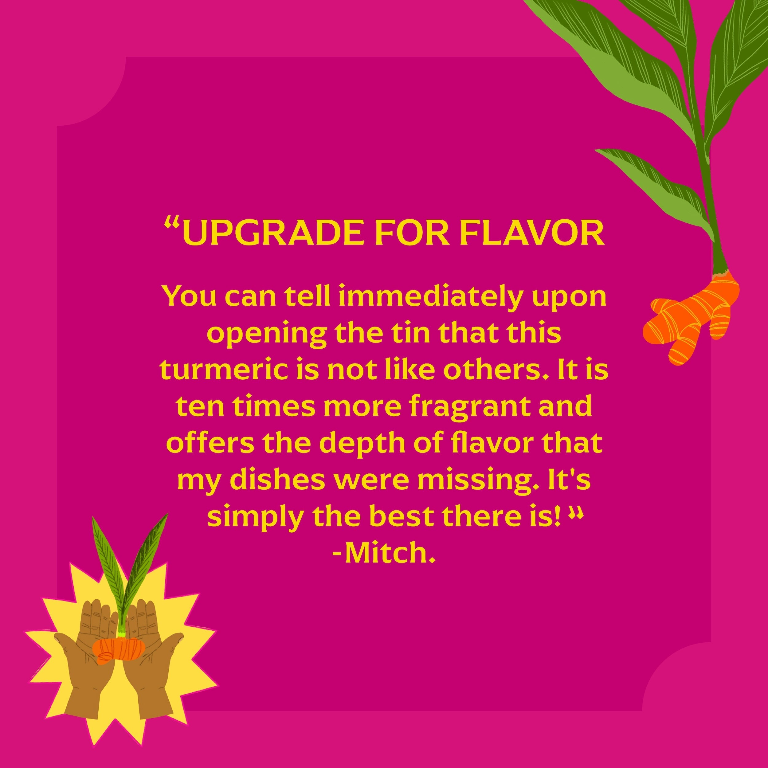 Pragati Turmeric (New Weight, Cookbook)