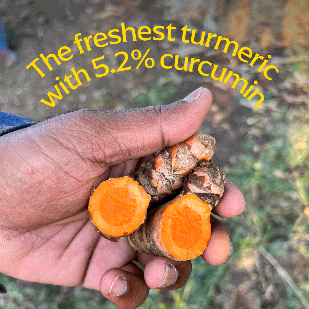The Cookbook 6-pack